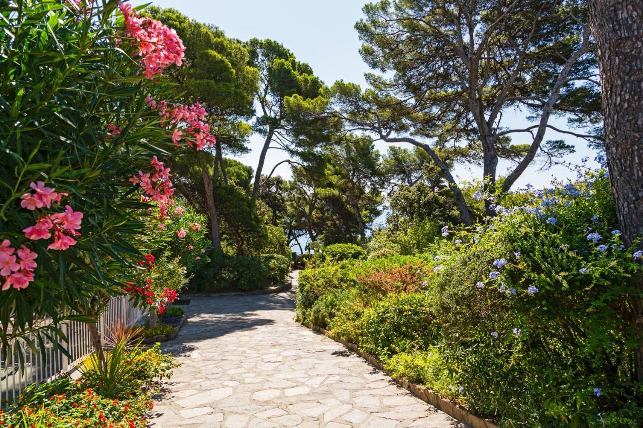 Parc Et Residence Le Provencal 耶尔 外观 照片